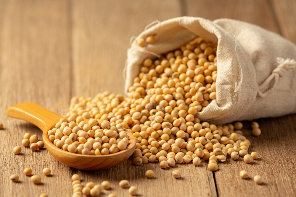 SigServ Global Trade SoyBeans